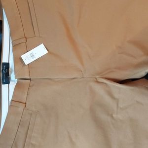 Curvy Sloan Pants